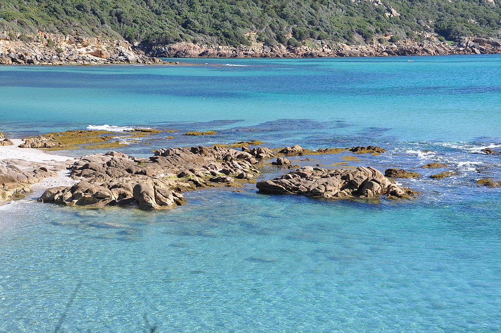 Fiore Di Machja Coti Chiavari Bagian luar foto